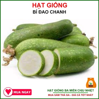 Hạt Giống Bí Đao Chanh Rất Sai Trái 0.2gram