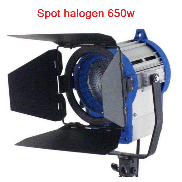 Đèn spotlight 650W giá rẻ