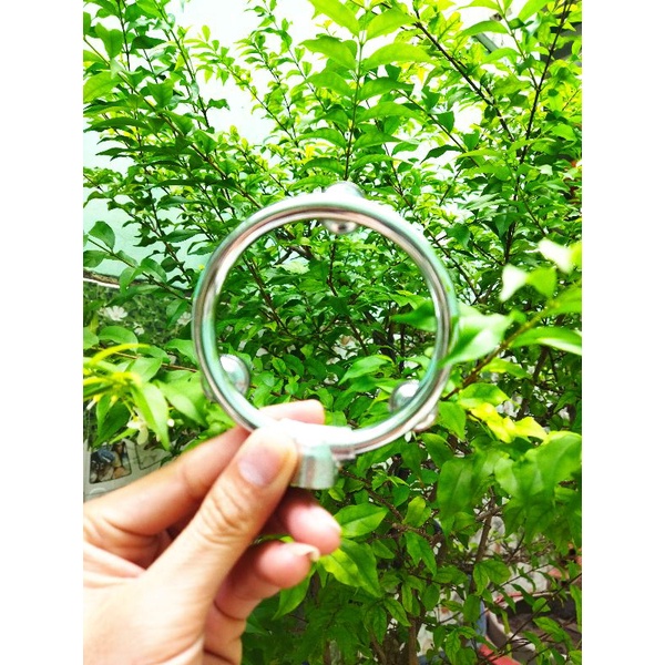 Béc tròn phun thuốc trừ sâu 3 mắt Taiwan.