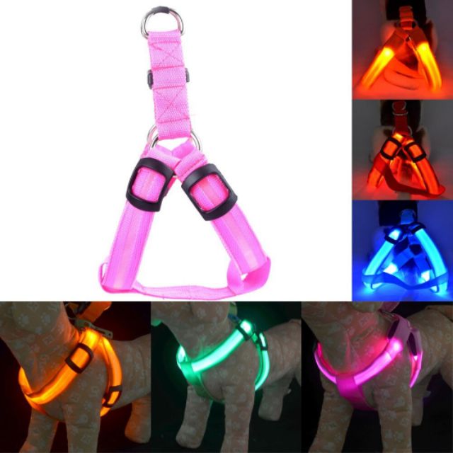 [ORDER]  ĐAI YẾM LED CHO CHÓ MÈO