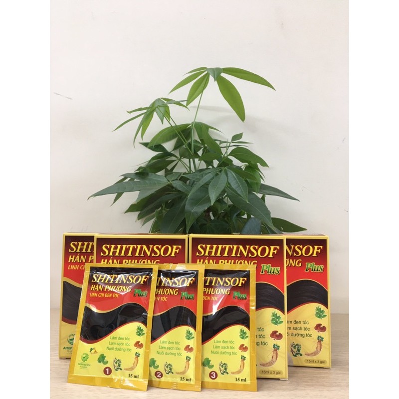 Dầu gội đen tóc SHITINSOF - Hán Phương PLUS Linh Chi Đen Tóc- HÀNG VIỆT NAM | BigBuy360 - bigbuy360.vn