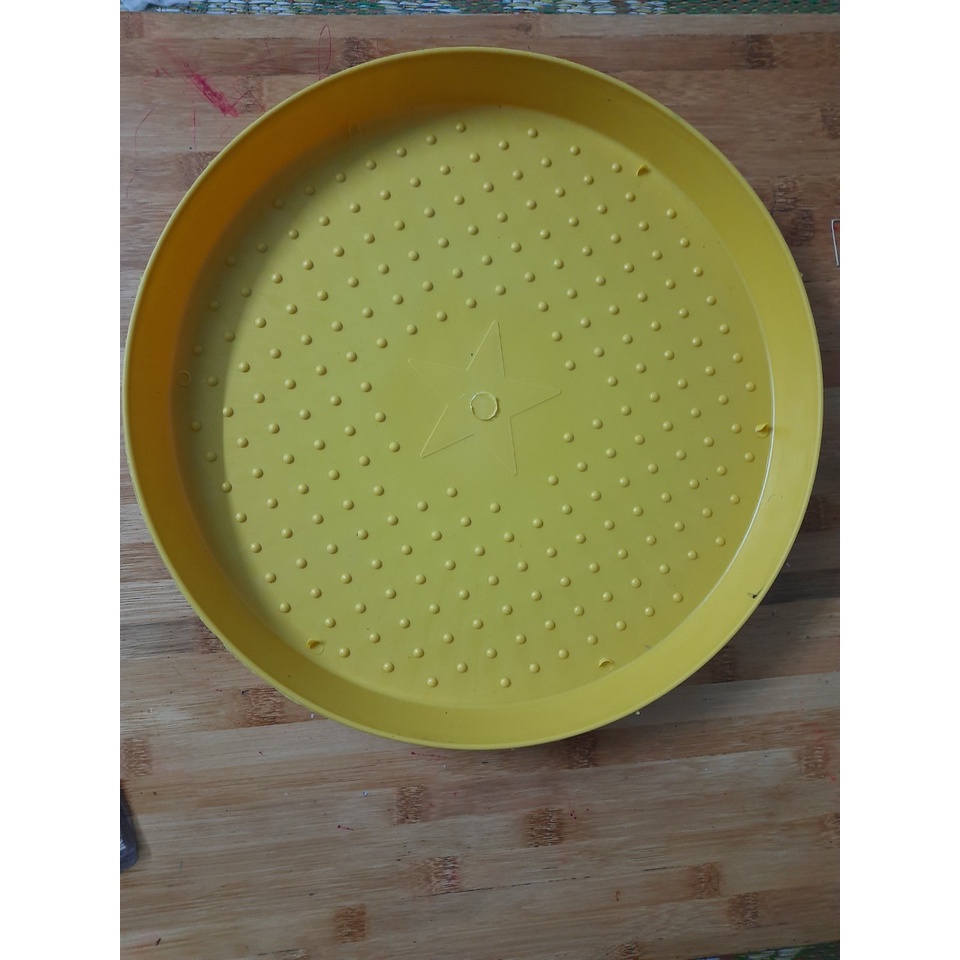 Khay tập ăn cho gà con mới nở,mẹt tập ăn