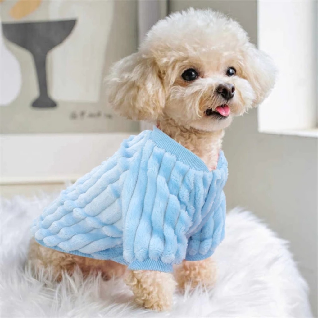 Áo len lông một mặt thời trang thu đông cho chó, mèo , thú cưng