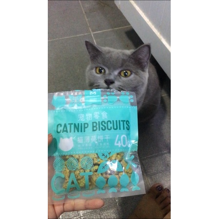 Bánh thưởng cho mèo - Bánh quy catnip/ snack catnip thơm ngon cho mèo 40gr