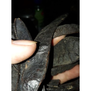Trái bồ kết khô