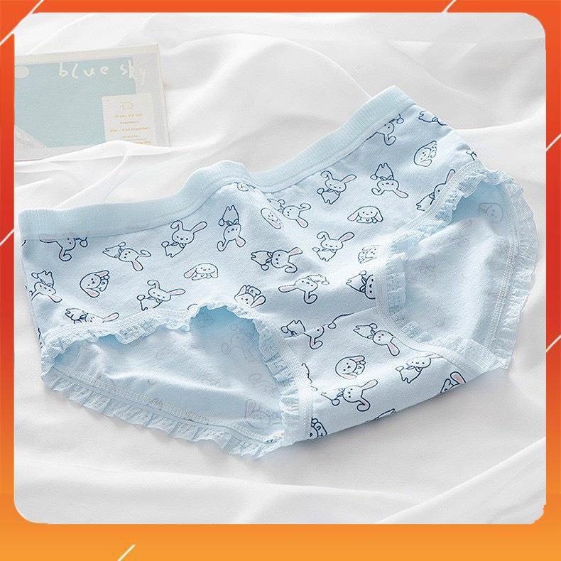 Hộp 5 chiếc quần lót học sinh xuất Nhật chất cotton cao cấp kháng khuẩn mềm mại thấm hút mồ hôi họa tiết đáng yêu Q4048