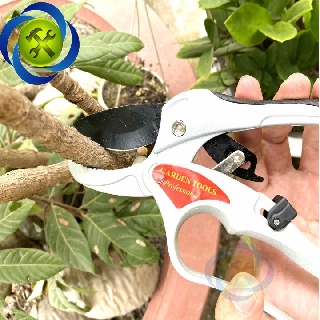 KÉO CẮT CÀNH C-MART A0046-08