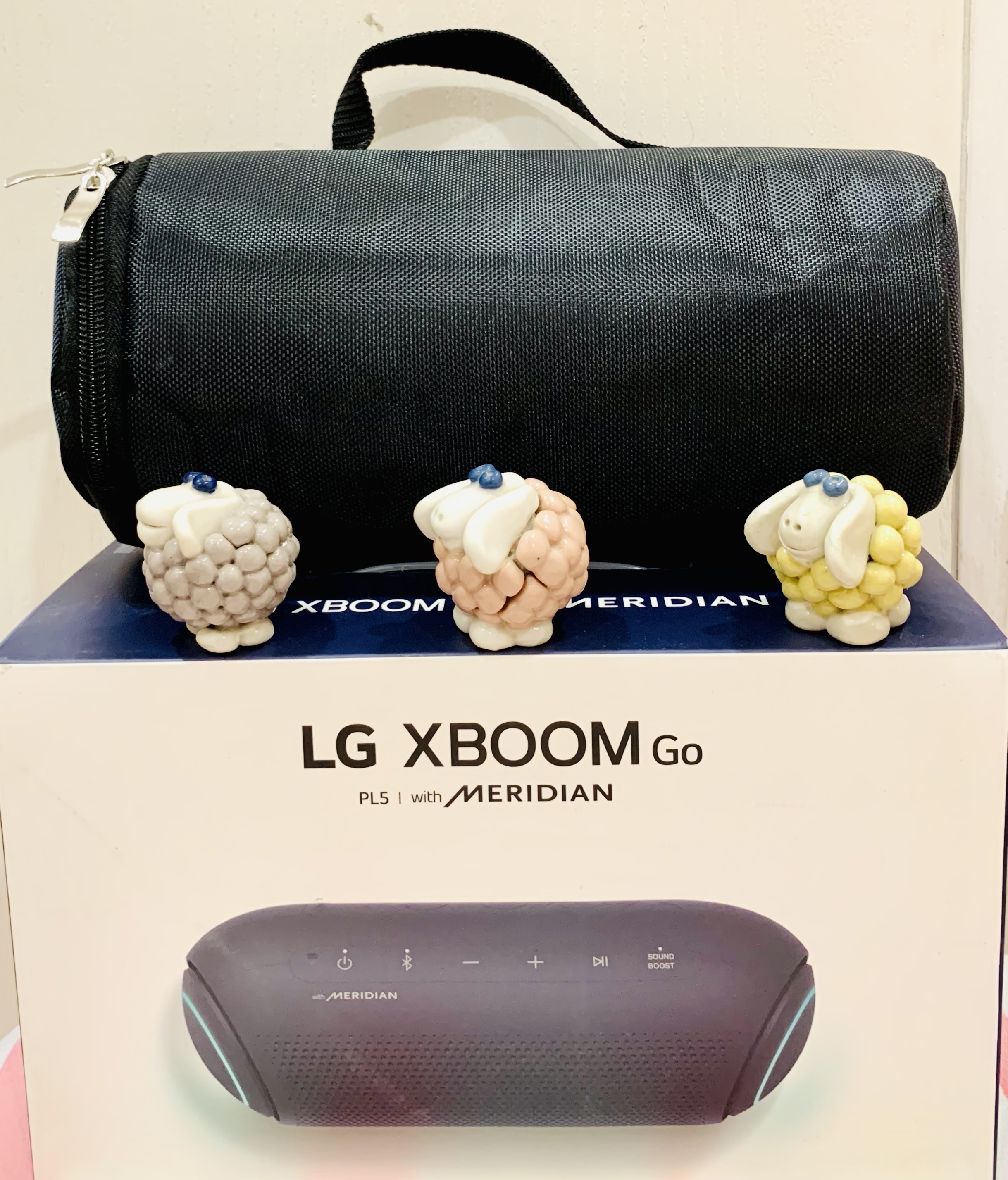 Túi đựng loa LG Xboom PL5 hàng cao cấp siêu bền