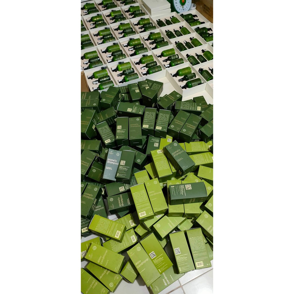 COMBO DẦU GỘI BƯỞI VIJULLY [CHÍNH HÃNG] (Gội+xả+tinh dầu) | BigBuy360 - bigbuy360.vn