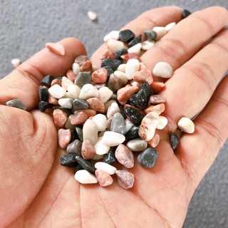 Sỏi hạt nhỏ dùng để trang trí bể cá chậu cây