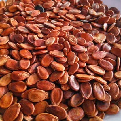 Hạt Dưa Không Phẩm Màu Có Protein Giúp Điều Hòa Huyết Áp Duy Trì Hoạt Động Của Hệ Tiêu Hóa Và Làm Đẹp Da [500G]