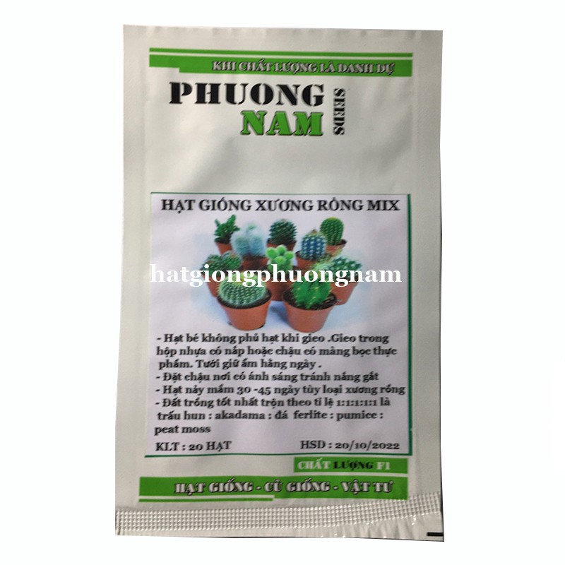 20H - HẠT GIỐNG XƯƠNG RỒNG MIX ĐỦ LOẠI