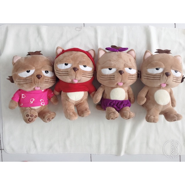 Set gấu kim anh