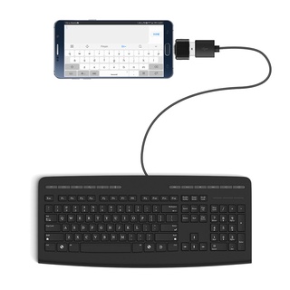 Set 2 đầu chuyển đổi Otg Usb Type C sang Usb 2.0