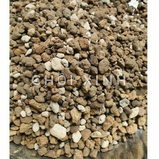 500g Đá pumice - Đá bọt núi lửa