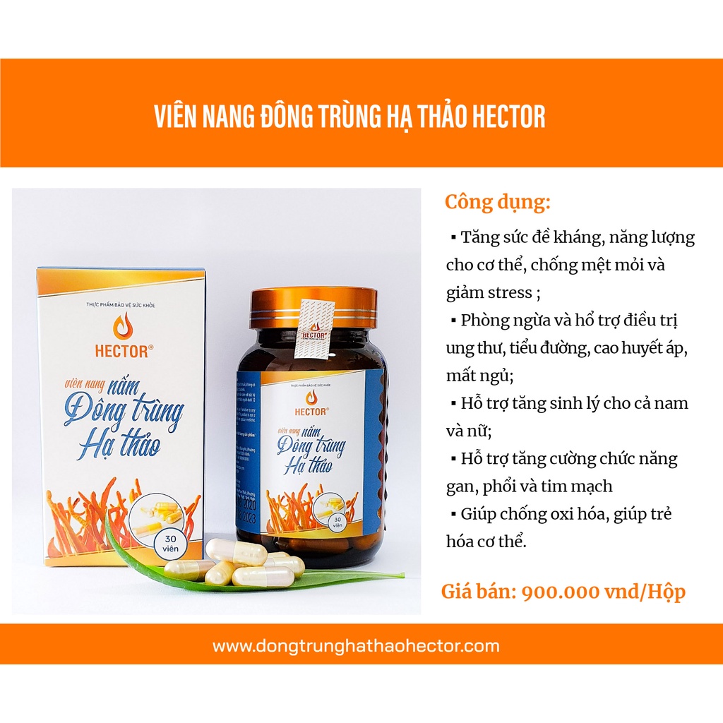 Đông trùng hạ thảo Hector- Viên nang- Tăng đề kháng, tăng sinh lý