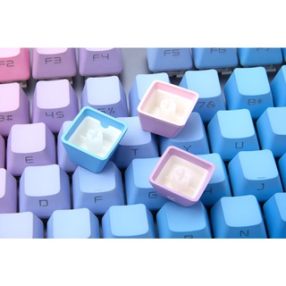 NPKC Gradient PBT Doubleshot Side-Lit Keycap Set