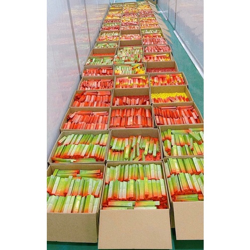 [SẴN] SON KEM LÌ MỀM MÔI BERNICE PHIÊN BẢN 2021 VỎ DẠ QUANG SIÊU ĐẸP | Thế Giới Skin Care