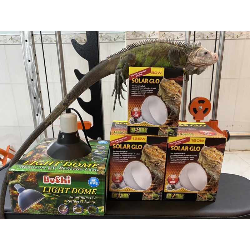 ĐÈN SƯỞI MẶT TRỜI SOLAR GLO 160W - 125W - 80W cho thú cưng, bò sát, rùa cạn, gà, chim, vẹt. EXO TERRA