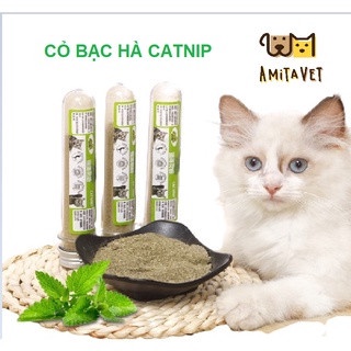Cỏ bạc hà cho mèo phê pha xả stress