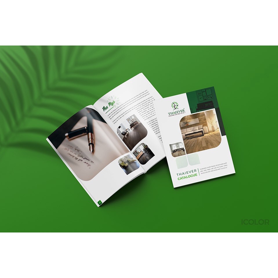 GIẤY IN MÀU ĐỊNH LƯỢNG 260GM A3  XẤP 50 TỜ