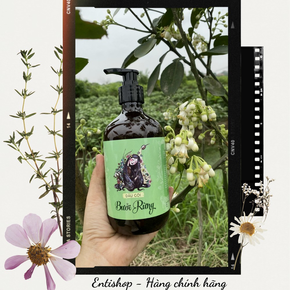 Dầu gội bưởi rừng Mộc Nhan dưỡng tóc suôn mượt 500ml