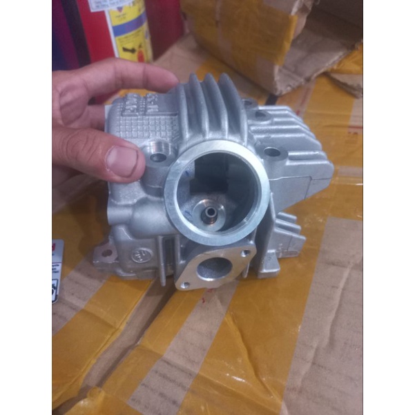 Đầu Bò Sirius , Taurus Chính Hãng