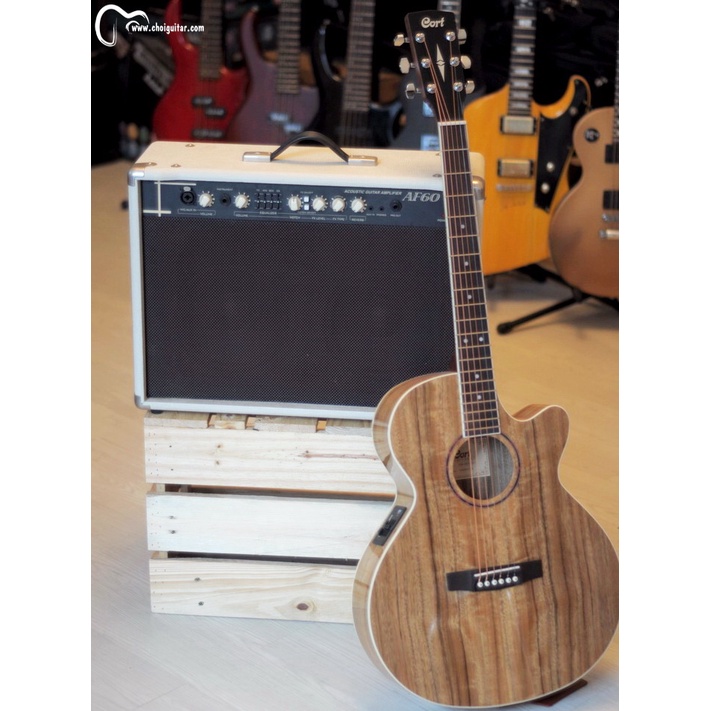 Cort AF60 Acoustic Amplifier 60W - Âm li dành cho đàn guitar thùng