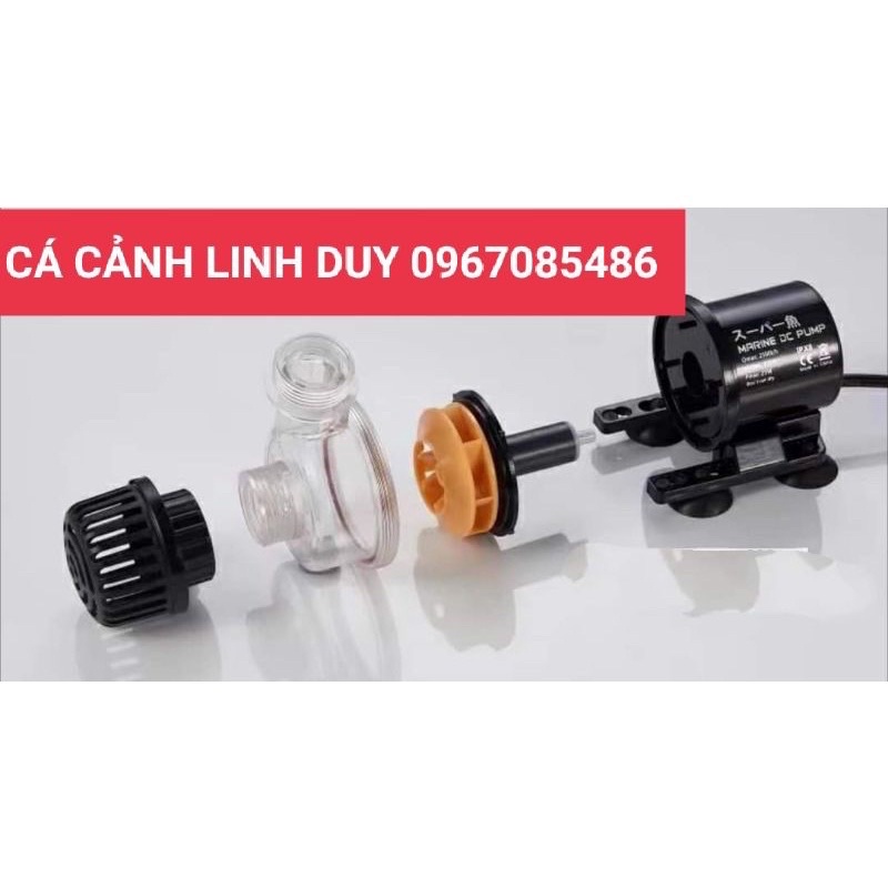 Máy Bơm MARINE CHỐNG GIẬT CỦA NHẬT BẢN