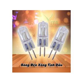 Combo 03 Bóng đèn Halogen dùng trong đèn xông tinh dầu