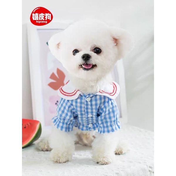 Áo thiết kế cho chó mèo - áo sơ mi Hàn Quốc cổ sen trắng thêu cá dễ thương cho thú cưng
