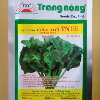 Hạt giống cải rỗ lá quăn ( có kèm ảnh thật nhà trồng)