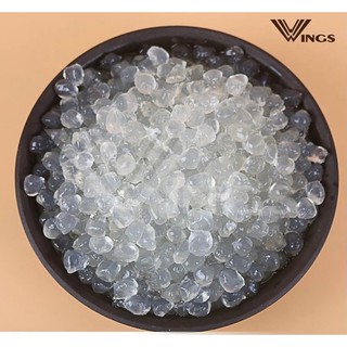 Trân châu đen Wings Việt Nam