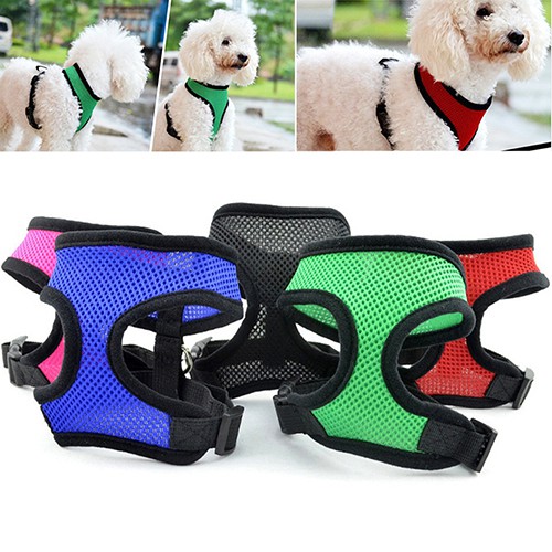 Áo Lưới Mềm Mại Cho Thú Cưng