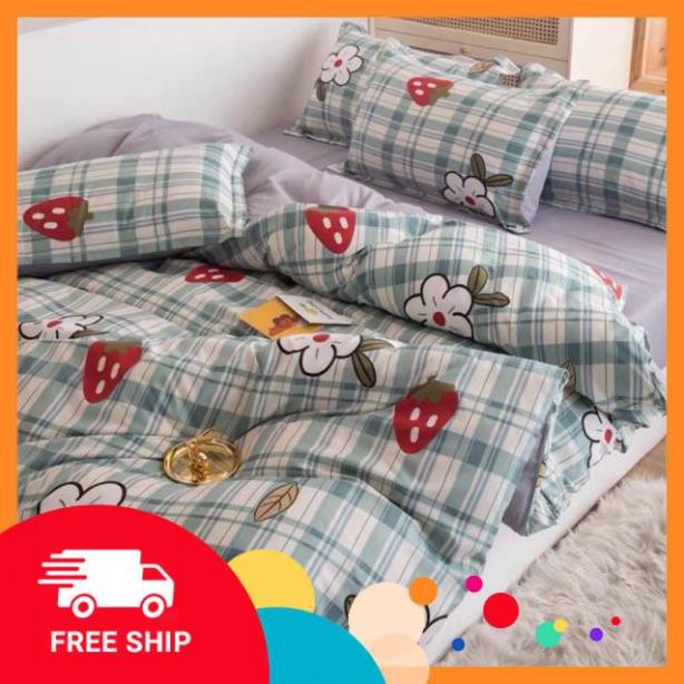 (SALE HỦY DIỆT) Set 4 món chăn ga gối Cotton Poly Nhập khẩu mẫu kẻ xanh hoa dâu