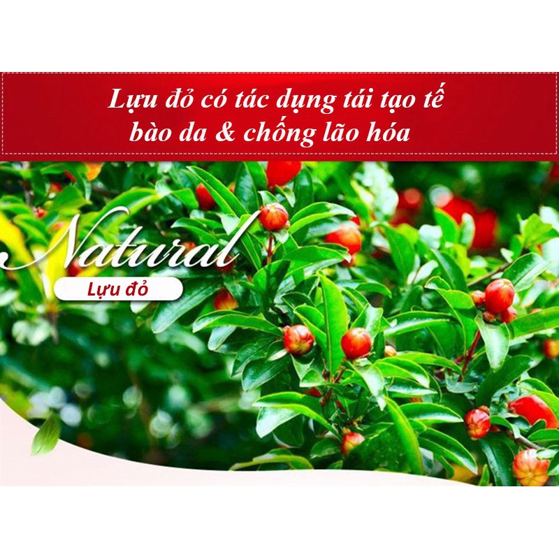 Kem Dưỡng Mắt Lựu Đỏ Images [Trẻ hoá, dưỡng da] | BigBuy360 - bigbuy360.vn