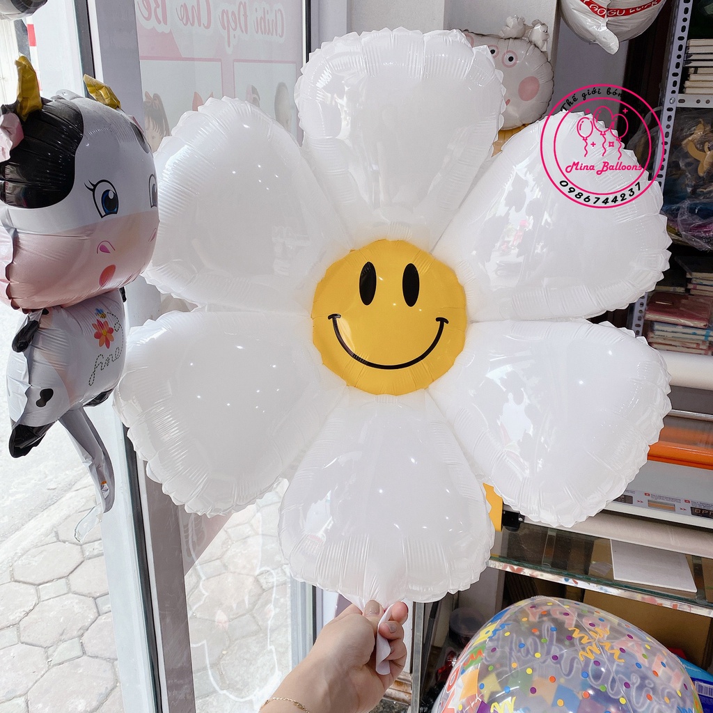 Bóng Hình Hoa Cúc Và Nhiều Mẫu Bóng Trang Trí Sinh Nhật