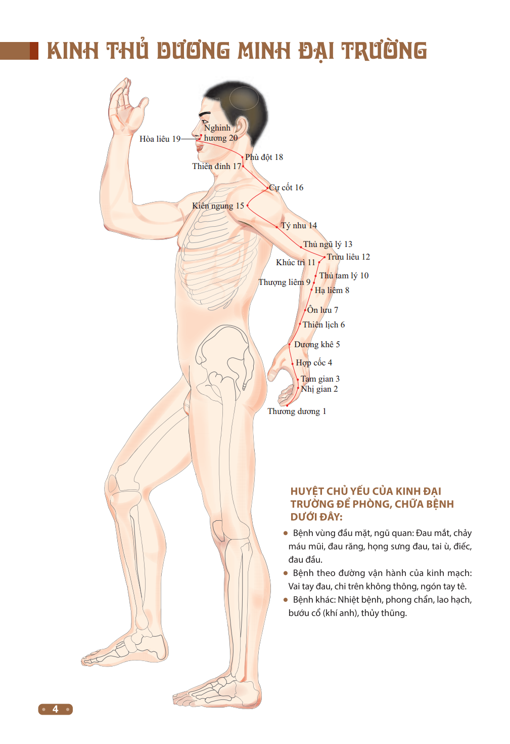 Sách Đồ Giải Kinh Lạc Huyệt Vị Cơ Thể