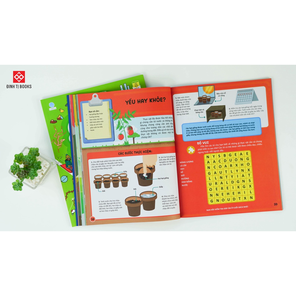Bộ 8 Cuốn Sách Học Và Thực Hành STEM Kèm Bài Tập Và Dụng Cụ Đơn Giản Bổ Trợ - Dành cho trẻ từ 6-15 tuổi Đinh Tị