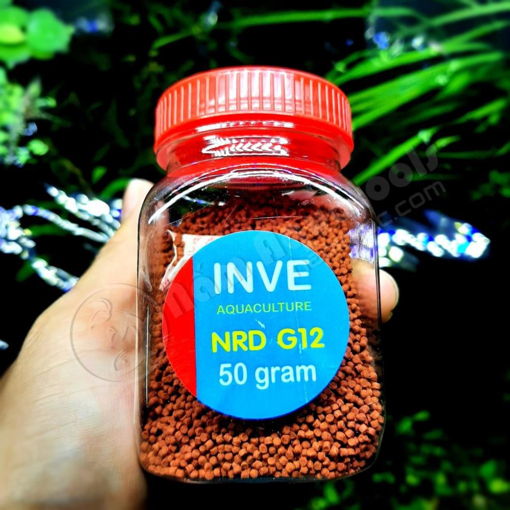 ☘ Cám Thái INVE nhiều size [hộp 50gr] | Thức ăn giành cho cá bảy màu, neon, beta...