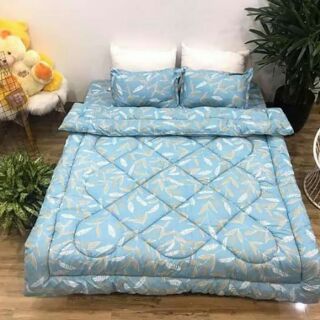 set chăn phao cotton poly