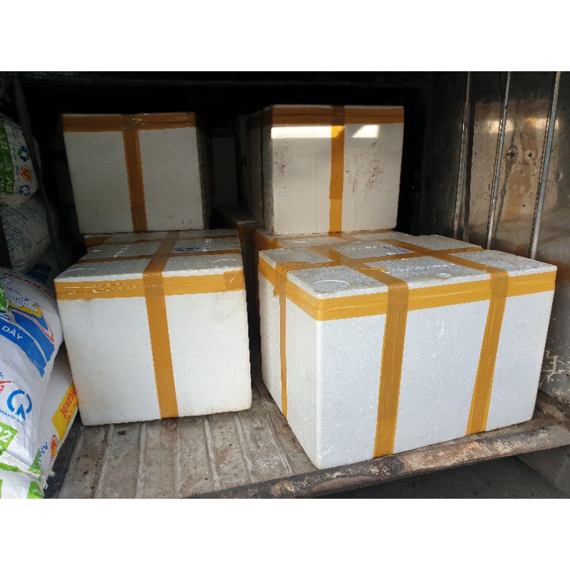 RONG NHO TƯƠI SÀI GÒN túi 500GR-ship hỏa tốc