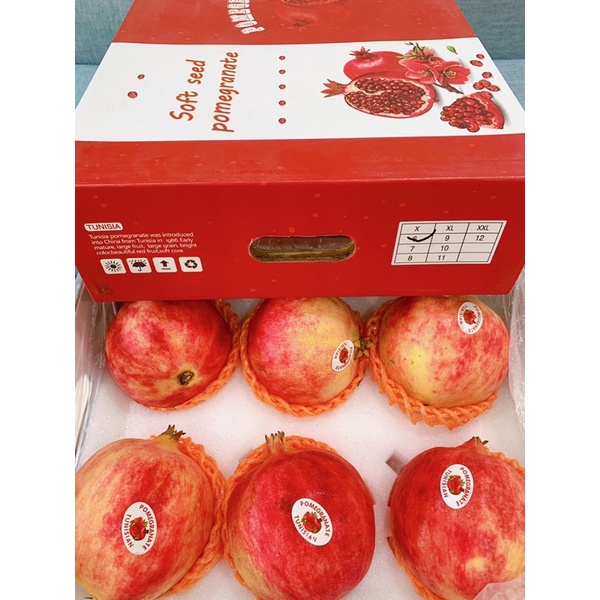Lựu Thái, Tunisia size 6,7,8  - Hàng mới