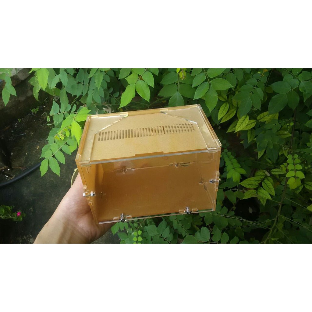 Hộp Nuôi Nhện 15-10-10 tank tarantula