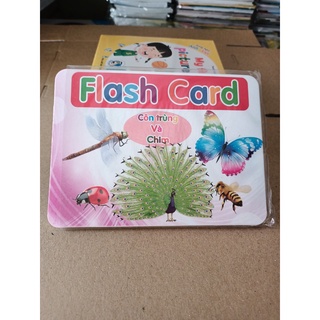 Thẻ học thông minh cỡ to - Flash card