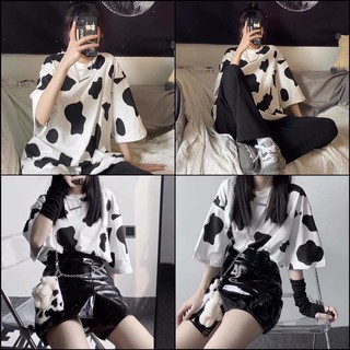 Áo bò sữa / Unisex bò sữa