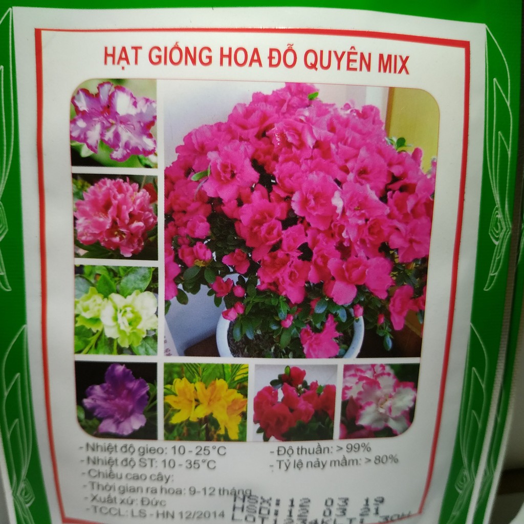 10 Hạt giống Đỗ Quyên (tặng gói Kích nẩy mầm và Hướng dẫn)