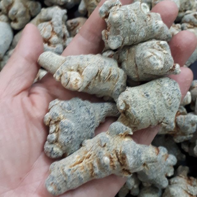 Tam thất bắc loại 9 củ (500gr)