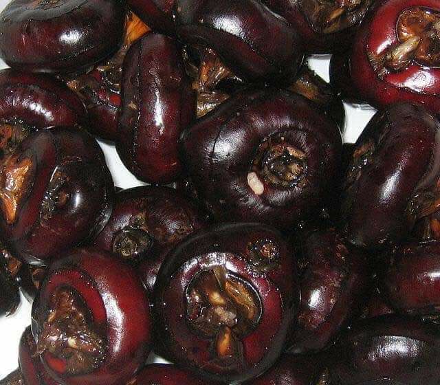 [Mã 267FMCGSALE giảm 8% đơn 500K] Củ mã thầy tươi 1kg ( củ năng) | BigBuy360 - bigbuy360.vn