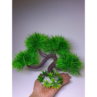 Cây nhựa trang trí bonsai